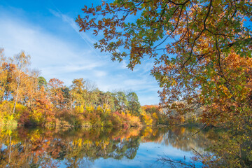  Ingolstadt,  beautiful autumn view in the park 