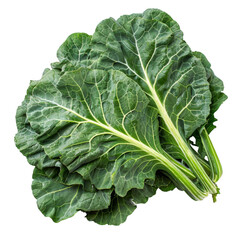 Fresh collard green leaves isolated, isolated PNG transparent