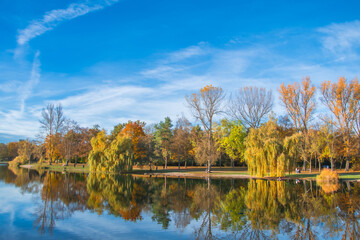 Ingolstadt, Auwaldsee, beautiful summer view in the park by the lake