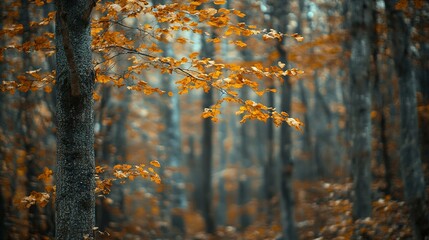 A Single Branch of Autumn Leaves in a Misty Forest