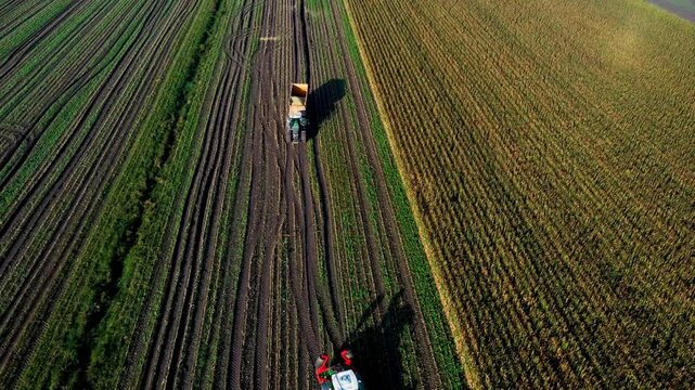 Landwirtschaftsmaschinen w&auml;hrender der Maisernte 