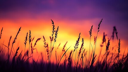 Naklejka premium Silhouettes of tall grass gently swaying in the breeze during a serene sunset, the sky painted in shades of orange and purple