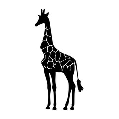 Giraffe silhouette on transparent background