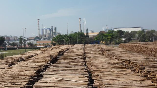 mat&eacute;ria prima produ&ccedil;&atilde;o industrial de papel e celulose brasil