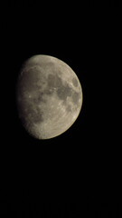 the moon in the night