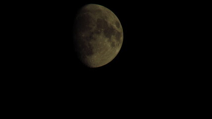 the moon in the night