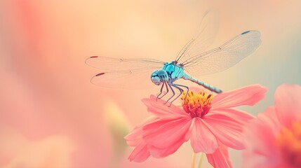 A close-up of a delicate dragonfly hovering over a vibrant flower, set against a light pastel background