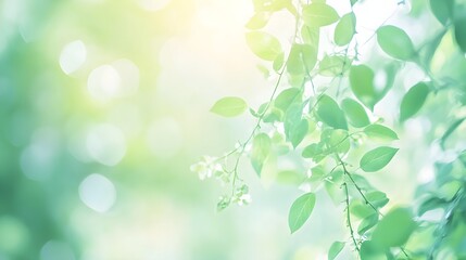 A soft green blur creating a serene and calming atmosphere, ideal for wellness and relaxation themes