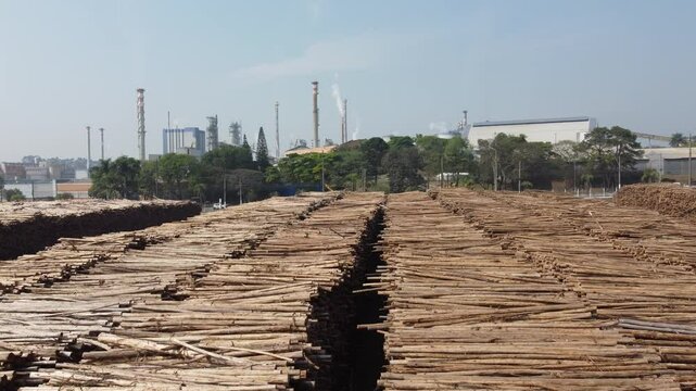 Madeira tora toretes produ&ccedil;&atilde;o industrial cortado estoque &aacute;rvore meio ambiente produ&ccedil;&atilde;o de papel e celulose