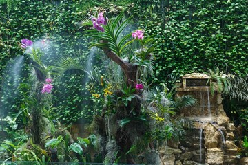 Orchids at the garden of Jose Joaquin de Olmedo International Ai