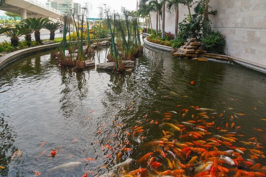 The pool garden of Jose Joaquin de Olmedo International Airport,