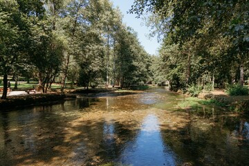 Serene park scene featuring a clear stream surrounded by lush green trees