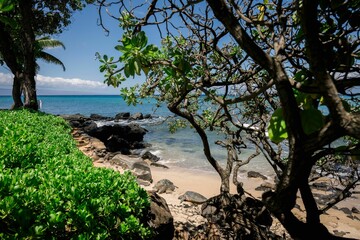 Serene beach with turquoise waters and lush greenery.