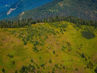 Aerial view of a lush green landscape on a sunny day