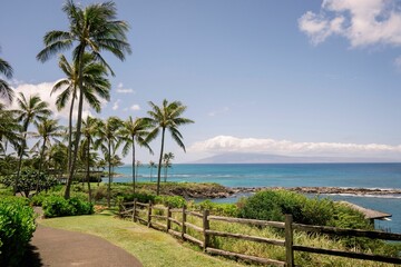 Obraz premium Scenic coastal pathway with palm trees and ocean view