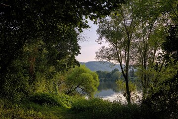 Serene view of a lake surrounded by lush greenery and trees with a mountain in the background