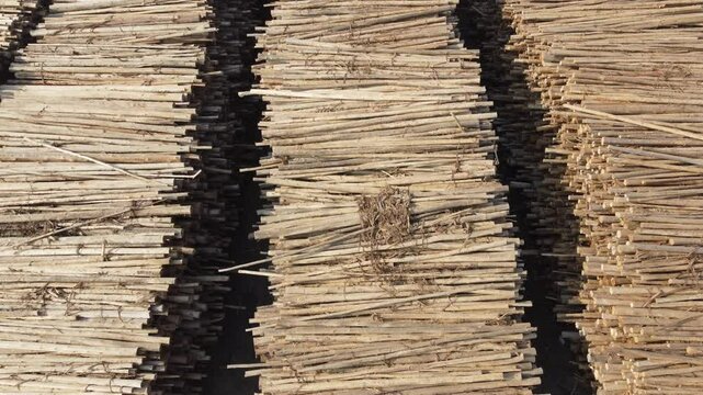 estoque de madeira para a produ&ccedil;&atilde;o de papel e celulose no brasil