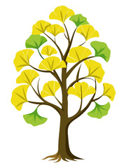 Obraz premium Vibrant Ginkgo Tree Illustration With Yellow And Green Leaves - Illustration of a ginkgo tree featuring vibrant yellow and green fan-shaped leaves, highlighting nature's beauty and botanical diversity