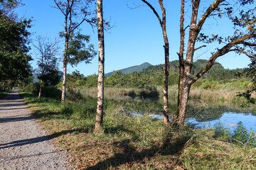 River Mundakako Itsasadarra, View Through Trees Along the Path, Basque Country