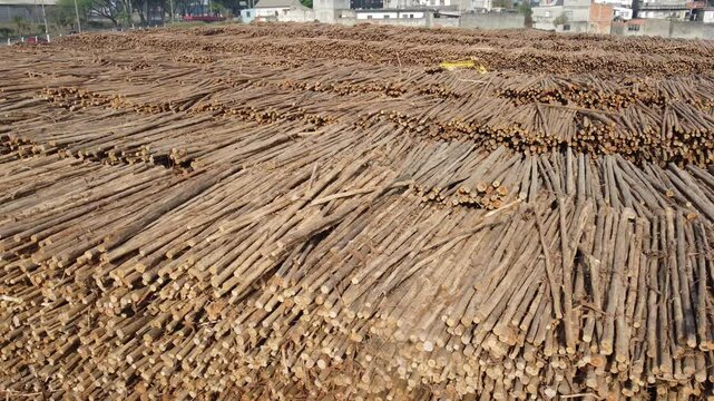 mat&eacute;ria prima tora de madeira &aacute;rvore eucalipto vis&atilde;o a&eacute;rea produ&ccedil;&atilde;o industrial de papel e celulose suzano sp brasil