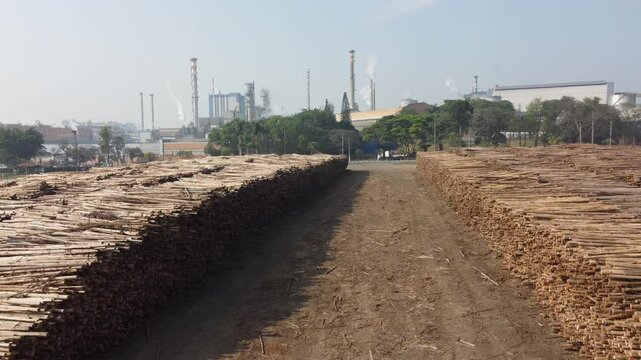 Vis&atilde;o a&eacute;rea de toras de madeiras para a produ&ccedil;&atilde;o de papel e celulose ind&uacute;stria em um dia de sol