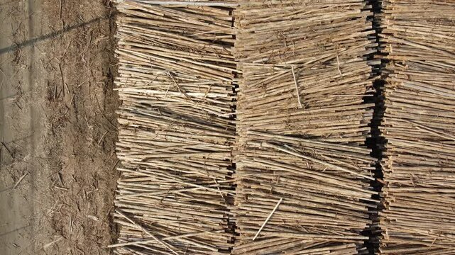 Toras de madeiras para a produ&ccedil;&atilde;o industrial de papel e celulose em uma f&aacute;brica de suzano sp brasil