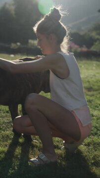 Playing with a large mastiff canario dog in a sunny field during the afternoon