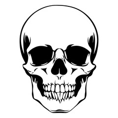 Vector style flat black and white Halloween elements on transparent background