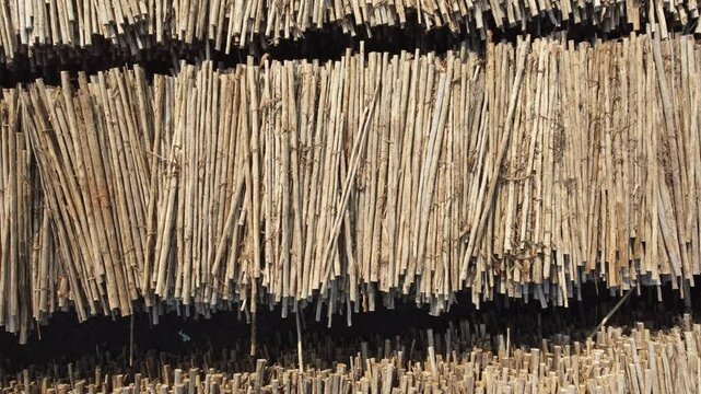 mat&eacute;ria prima tora de madeira &aacute;rvore eucalipto vis&atilde;o a&eacute;rea produ&ccedil;&atilde;o industrial de papel e celulose suzano sp brasil