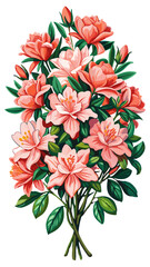 Vibrant Azalea Flower Illustration with Green Leaves - Detailed illustration of a vibrant azalea flower, surrounded by lush green leaves. Perfect for nature-themed artwork or botanical designs