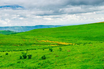 Fototapeta premium Picturesque green hills in cloudy weather. Caucasus