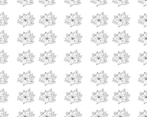 Christmas symbol. Floral seamless pattern flowers poinsettia line art white background..