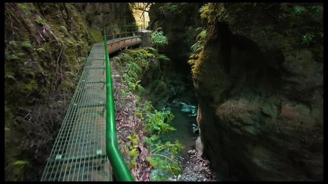 The short walk on the path along the canyon near the water power plant on the Salto do Cabrito trail in San Miguel, Azores.	