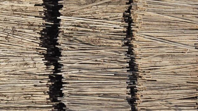 Vis&atilde;o a&eacute;rea de toras de madeiras para a produ&ccedil;&atilde;o de papel e celulose ind&uacute;stria em um dia de sol