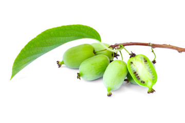 Baby kiwi or actinidia arguta isolated on white background. Top view.