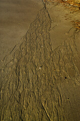 Abstract swirling flow patterns in wet sand
