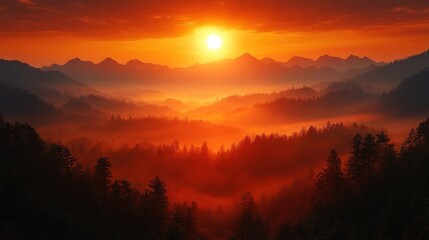 Obraz premium Sunrise Over Misty Mountains with Silhouetted Trees