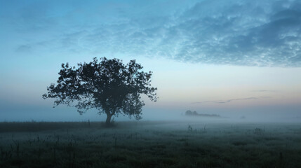 Fototapeta premium The scene where the fog rolls in.