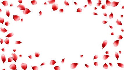 Frame rose petals or sakura realistic flying scattered. romantic background spring season