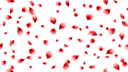 Rose petal red color seamles pattern background vector illustration. floral backdrop