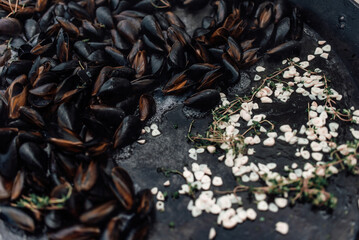 Fresh Cooked Mussels in Herbs Close-up