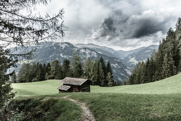 Wanderweg durch eine Bergwiese mit Almhütte