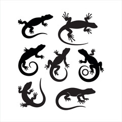 set of lizards black silhouette on white background
