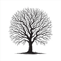 Obraz premium Hand drawn naked tree silhouette on white background 