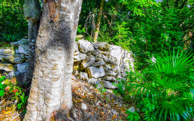 Xaman Ha Maya Ruins archeological site Playa del Carmen Mexico.
