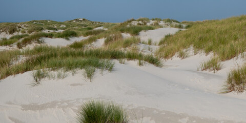 Dünenlandschaft mit weissem Pudersand auf der Frischen Nordseeinsel Amrum