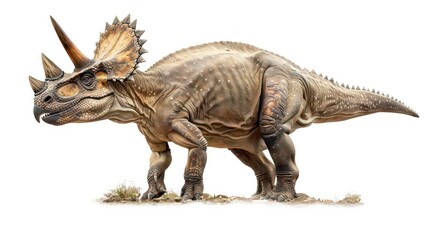 Fototapeta premium A 3D rendering of a realistic-looking dinosaur with a long, pointed horn, frill of spikes, and a long tail, standing on a patch of dirt.