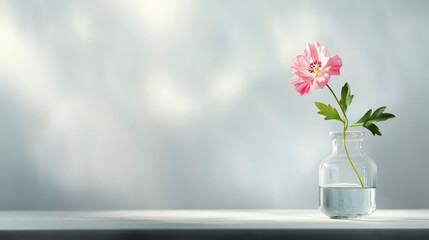 A single pink flower stands gracefully in a clear glass jar filled with water against a minimalist, light-colored background.