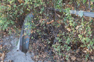 A photo of an old, half-buried metal pipe in the ground surrounded by overgrown vegetation and some small plants growing on it
