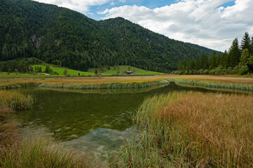 moorland landscape near Sankt Ulrich am Pillersee in Tyrol in Austria